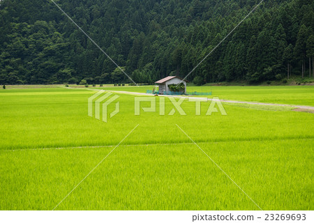 Country landscape 23269693