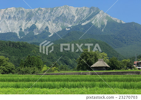 Summer Okayama 23270703