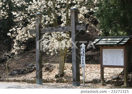 Kim Jong-ji 23271325