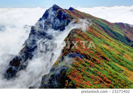 Mt. Tanigawa of autumn leaves seen from Ichinokurake 23271402