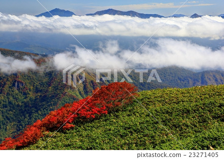 從Ichinokurake dake看到的谷川山和富根山 從Ichinokurake dake看到的谷川山和富根山 23271405