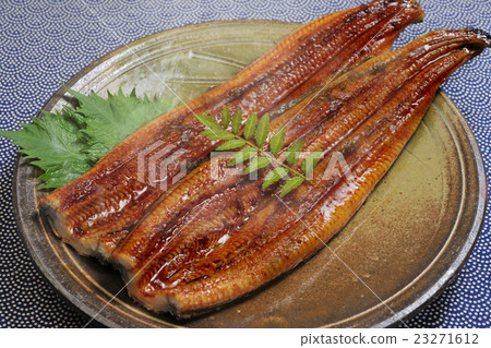 Braised eel 23271612