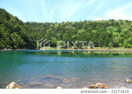 Twin pond Twin pond 23271630