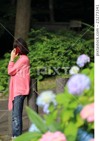 Waiting at a lady hydrangea talking on a smartphone Waiting at a lady hydrangea talking on a smartphone 23273341