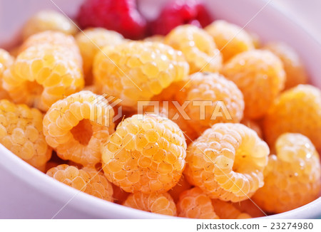 raspberry 23274980