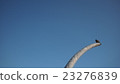 Blue Sky and Birds 23276839