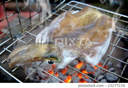 Grill Fresh soft cuttle fish 23277238