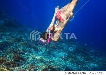 woman with mask swimming underwater in tropical sea woman with mask swimming underwater in tropical sea 23277796