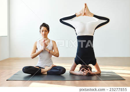 Two young women practicing yoga poses and asanas Two young women practicing yoga poses and asanas 23277855
