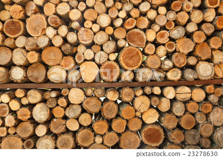 Pile of wood logs storage for industry 23278630