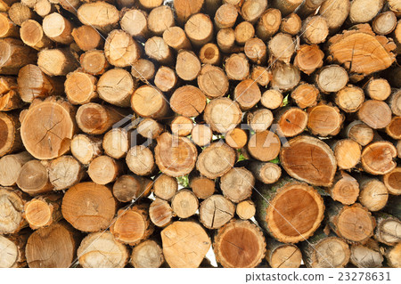 Pile of wood logs storage for industry 23278631