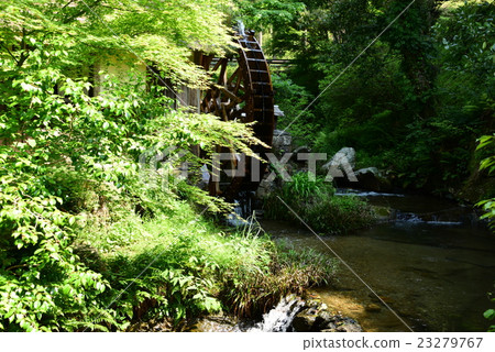 Water mill at the Shimizu bridge in early summer 23279767