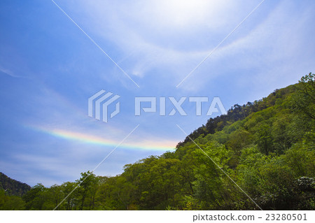 新鮮的綠色和環形天頂弧 23280501