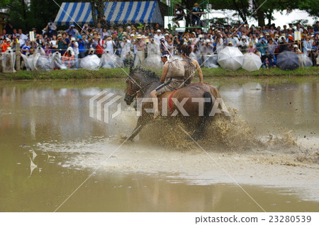 宮崎駿美里鎮幕府神社田宮神社的980年傳統節日在新大社的神社節神社舉行 23280539