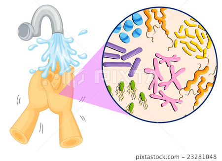 Bacteria in human hands 23281048