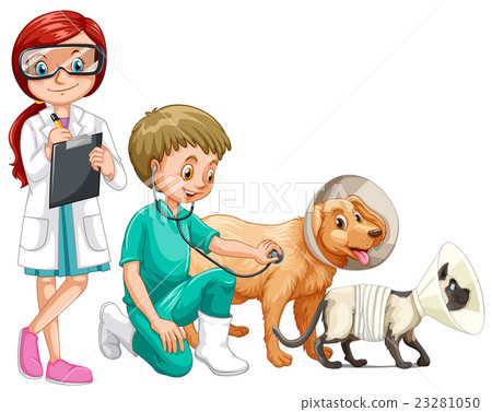 Two vets and animals Two vets and animals 23281050