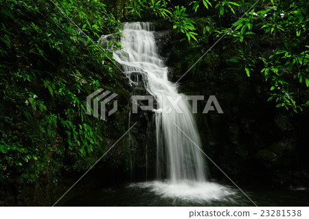 Dragon King Falls Dragon King Falls 23281538