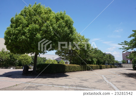 Hachioji-shi Keio Line Minami-Osawa Ekimae Hachioji-shi Keio Line Minami-Osawa Ekimae 23281542