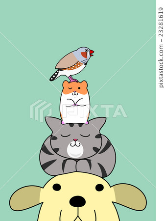 Pets stacked on top of the head 23281619