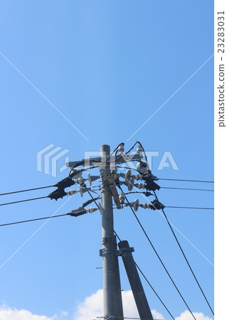 Blue sky and telephone pole Blue sky and telephone pole 23283031