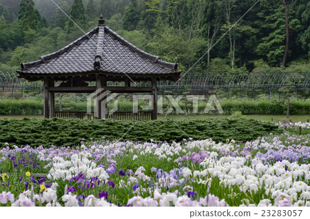 Nagasawaji Sho Bouken Nagasawaji Sho Bouken 23283057