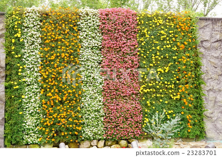 Flower's screen 01 Flower's screen 01 23283701