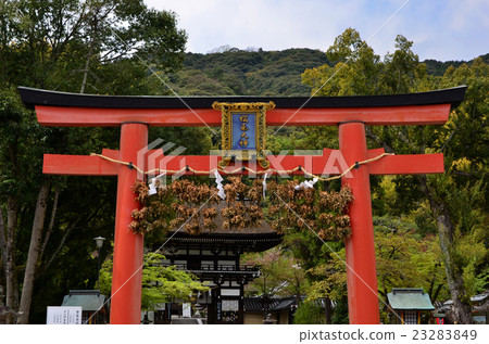 Matsuo Taisha Shi Torii / Tomonon(2016.4) Matsuo Taisha Shi Torii / Tomonon(2016.4) 23283849