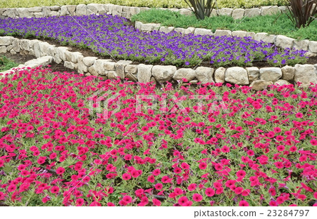 Ishigara flowerbed 02 Ishigara flowerbed 02 23284797
