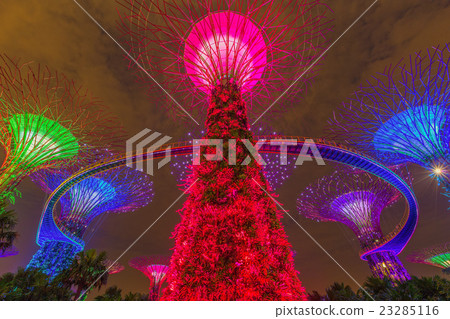 Night view of Gardens by the Bay Night view of Gardens by the Bay 23285116