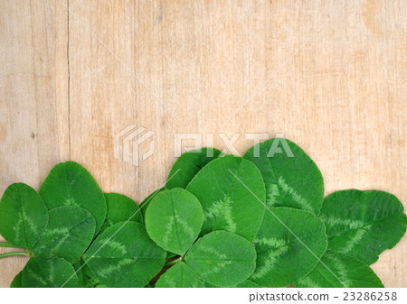 leaves clover on wooden background 23286258