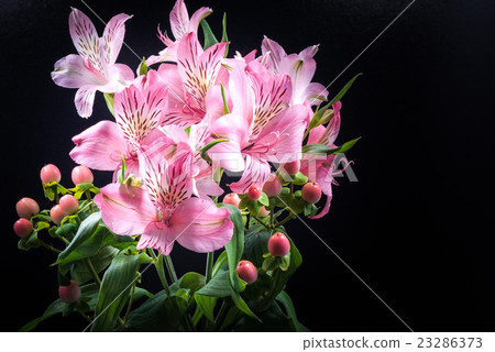 德國錐腳形酒杯，花，特寫鏡頭，宏指令。 23286373