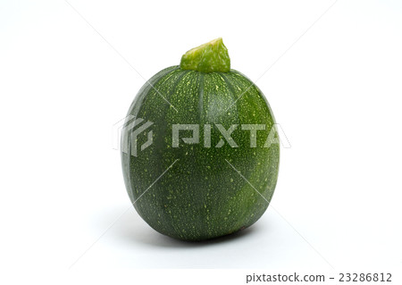 圓形西葫蘆 圓形西葫蘆 23286812