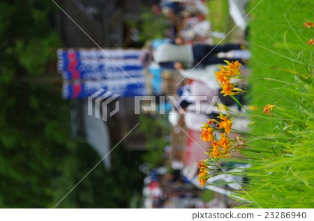 Miyazaki Prefecture Misato Town Festival of Miyazaki Shrine of Miyazaki Shrine and scenery with summer flowers of fleet Miyazaki Prefecture Misato Town Festival of Miyazaki Shrine of Miyazaki Shrine and scenery with summer flowers of fleet 23286940
