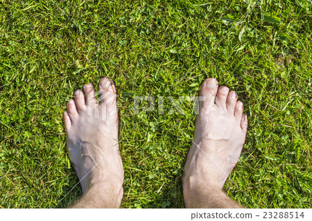 Barefoot legs on green grass 23288514
