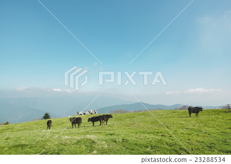 shikoku karst, plateau, highland 23288534