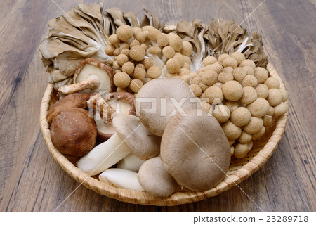 蘑菇 蘑菇 23289718