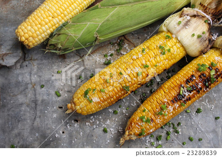 Grilled corn Grilled corn 23289839