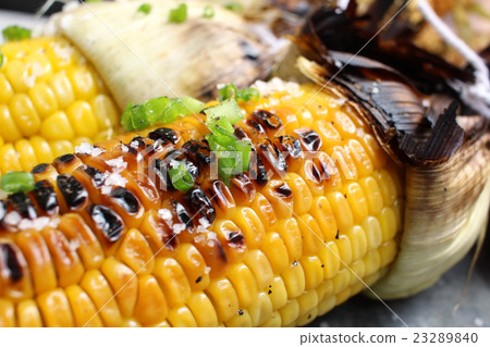 Grilled corn Grilled corn 23289840