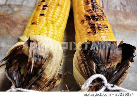 Grilled corn Grilled corn 23289854