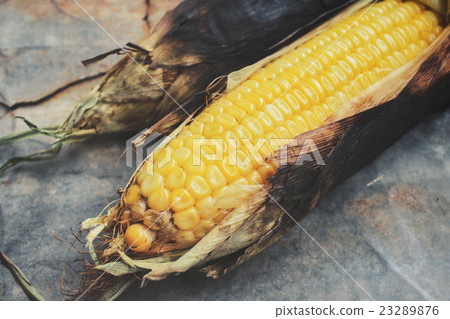 Grilled corn Grilled corn 23289876