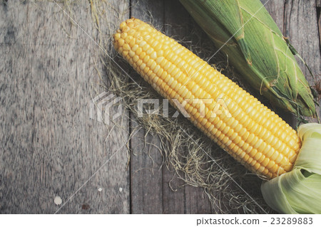 Fresh corn 23289883