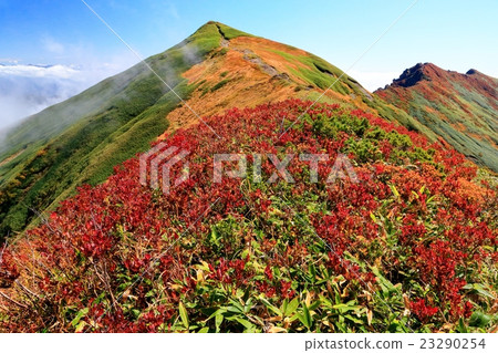 秋葉的Joetsu邊界·Ichinokurake沙丘和Tanigawa山 秋葉的Joetsu邊界·Ichinokurake沙丘和Tanigawa山 23290254