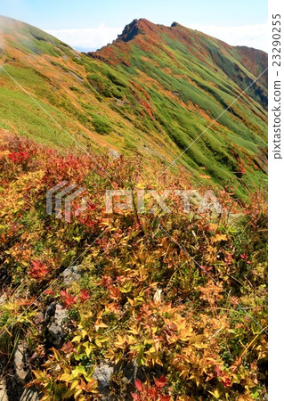 從Jogoshi邊界看到的Tanigawa-dake·Mogura dake ridgeline 從Jogoshi邊界看到的Tanigawa-dake·Mogura dake ridgeline 23290255