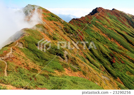 從上越邊境看到的Ichinomakura沙丘·Mogakura dake和Tanigawa山 23290256