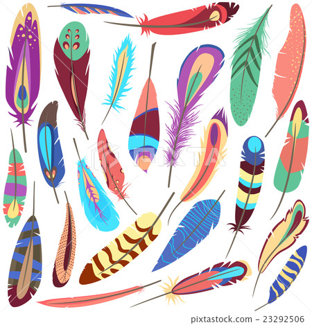 Set of bird fluffy and colorful feather Set of bird fluffy and colorful feather 23292506