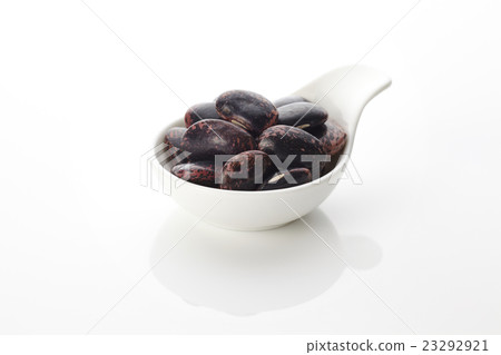 花豆 花豆 23292921