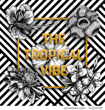 Geometric striped ornament with exotic tropical 23293560