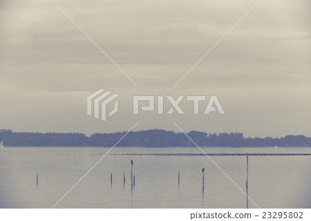 Northern Sea landscape 23295802