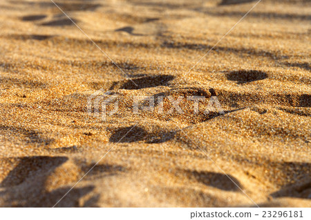 Sand on beach in sun summer day 23296181