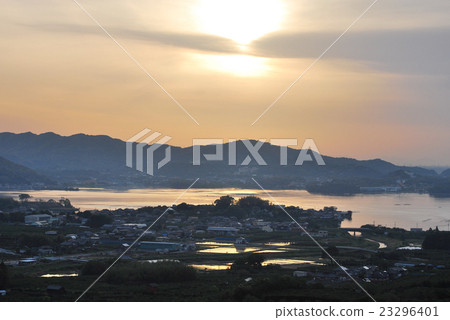 Water-rich paddy field Reflecting morning sun 23296401